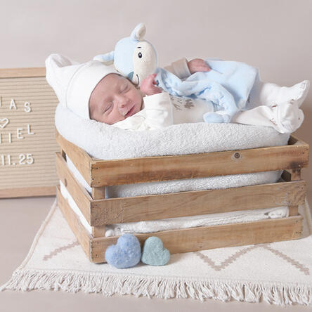 Bild von Elias Daniel