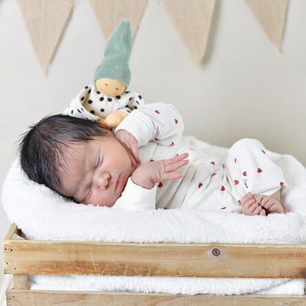 Bild von Theodor William