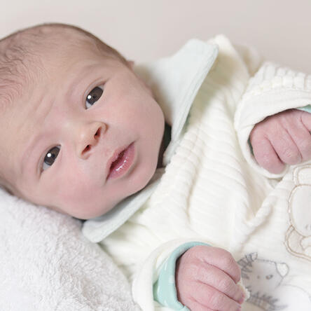 Bild von Bernardo Edward