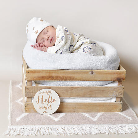 Bild von Alicia