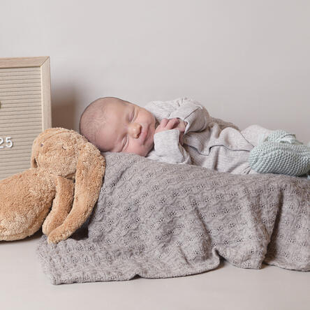 Bild von Milo