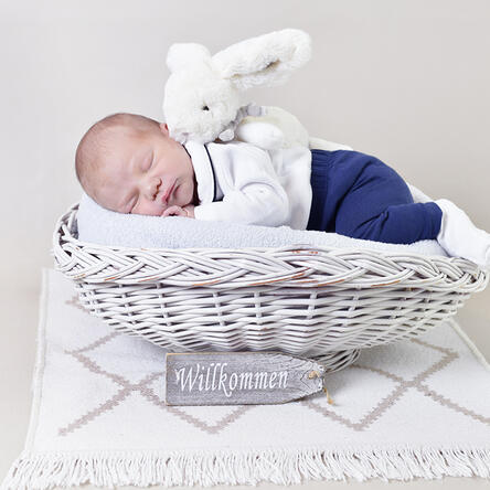 Bild von Noel