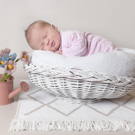Bild von Estelle Amea