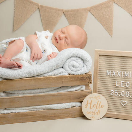 Bild von Maximilian Leon