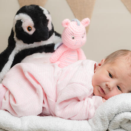 Bild von Milena
