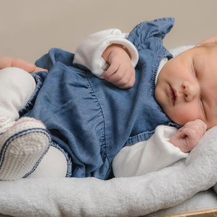 Bild von Amila Malou