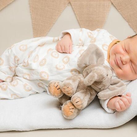 Bild von Elodie Amea