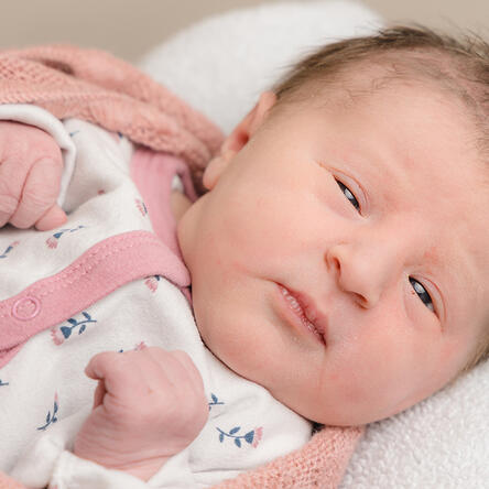 Bild von Carlotta Eloise