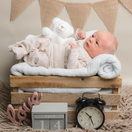 Bild von Elara Moana