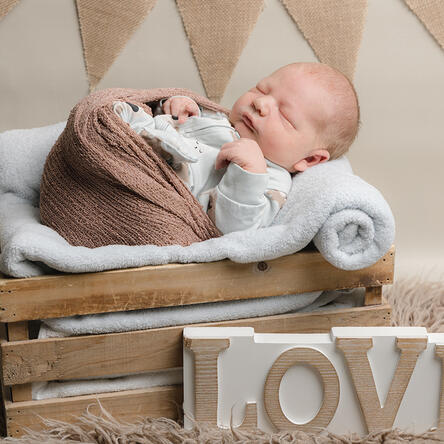 Bild von Levi