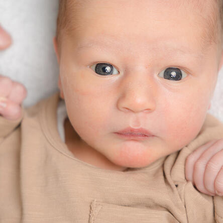 Bild von Milo Beda
