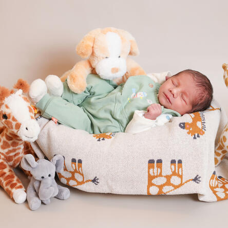 Bild von Noah Nael