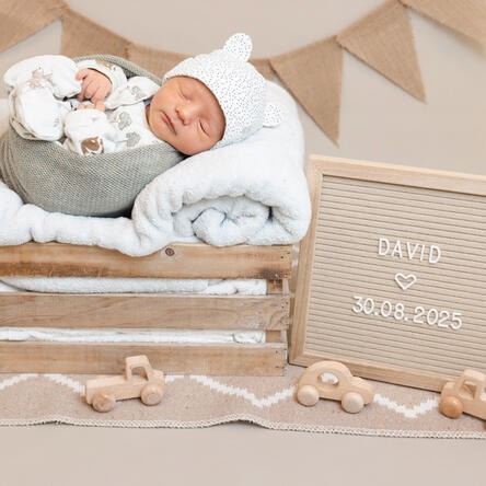 Bild von David
