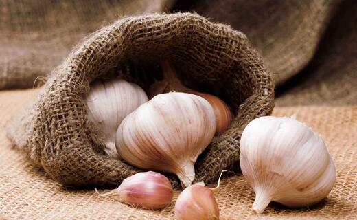 ksb_blog_saisonalelebensmittel_knoblauch.jpg