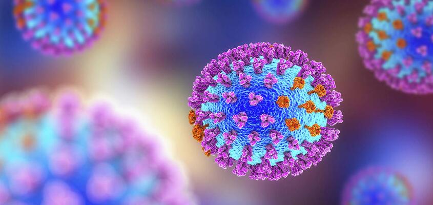 ksb-blog_grippeimpfung_virus_content3.jpg