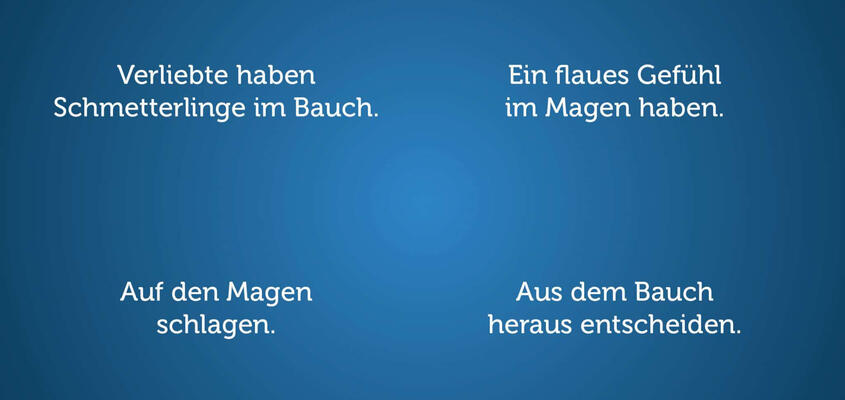 Darm und Gehirn