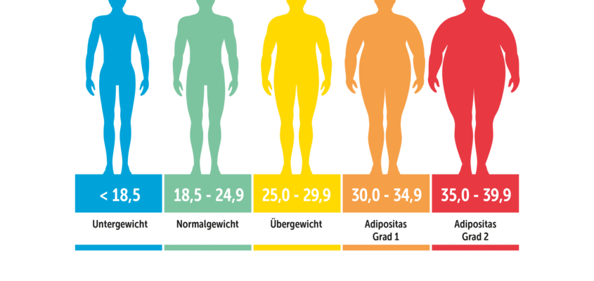 Body Mass Index
