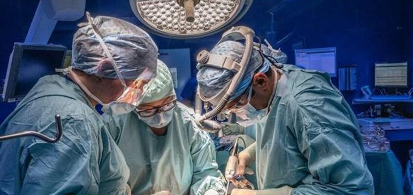 Volle Konzentration auf das Kerngeschäft: Viszeralchirurgen bei einem Eingriff.