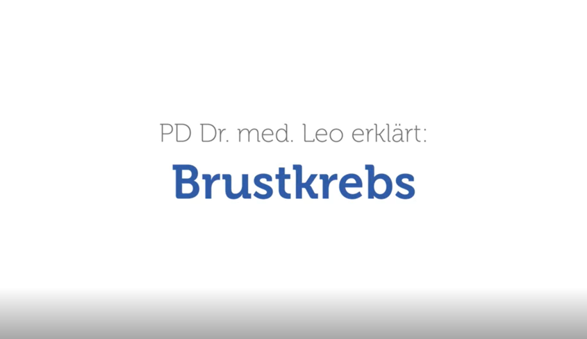 Erklärvideo